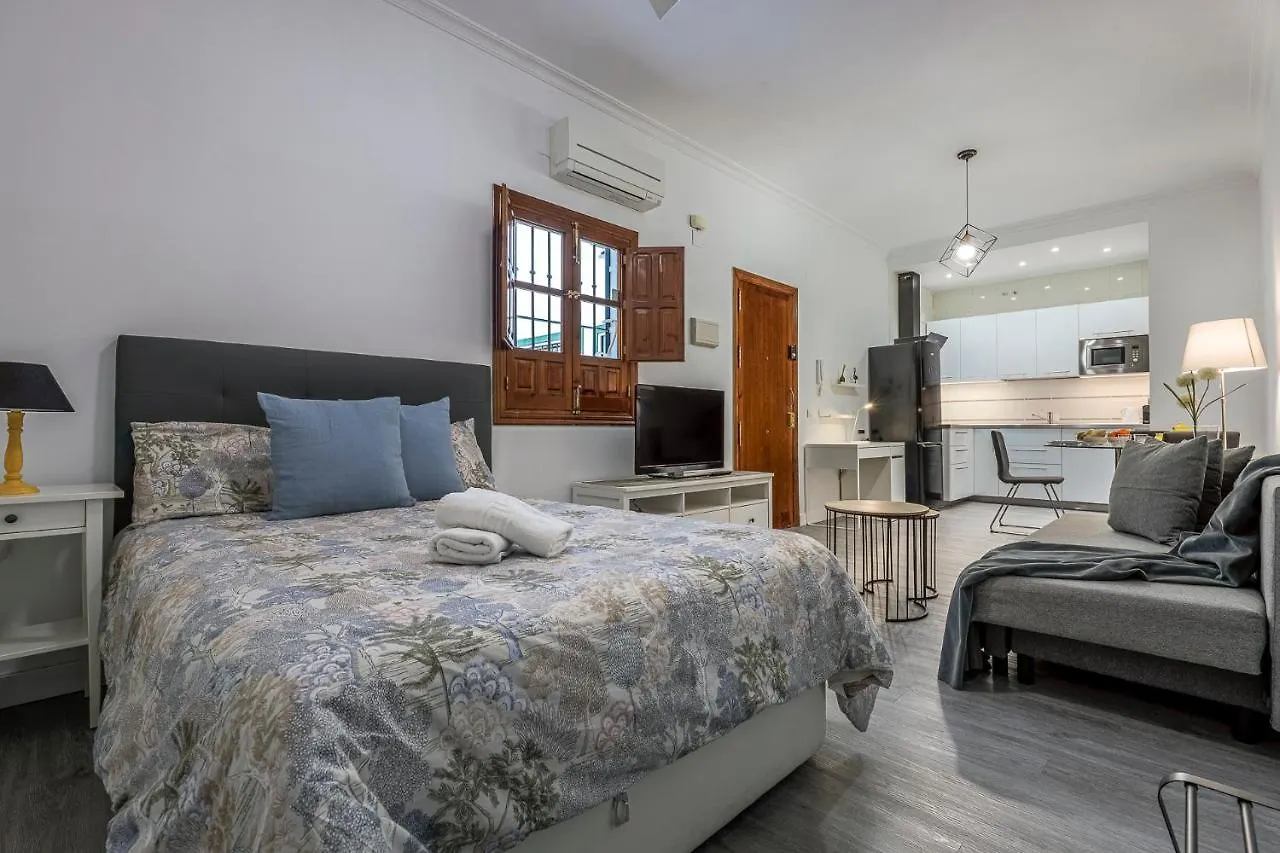 Appartamento Estudio Calle Banos Siviglia