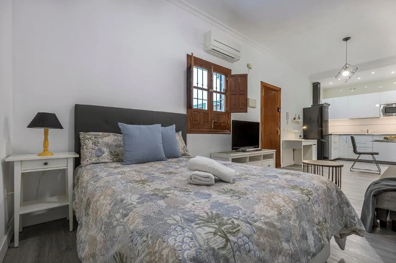 Apartamento Estudio calle baños Sevilla