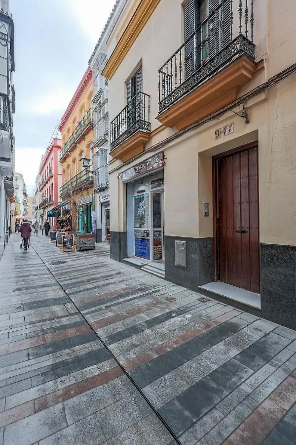 Estudio Calle Banos Seville Spain