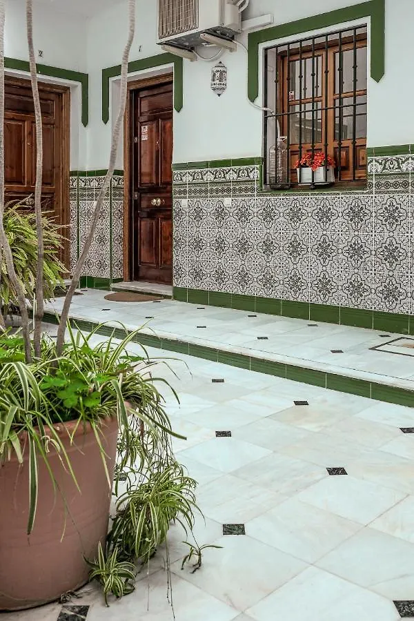 Estudio Calle Banos Seville